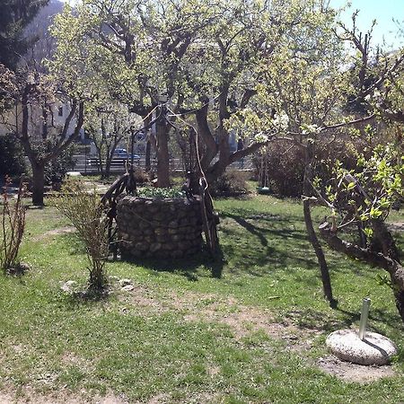 Villa Myosotis Bardonecchia Dış mekan fotoğraf
